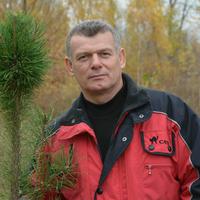 Отзыв от Карен - Visa DTV